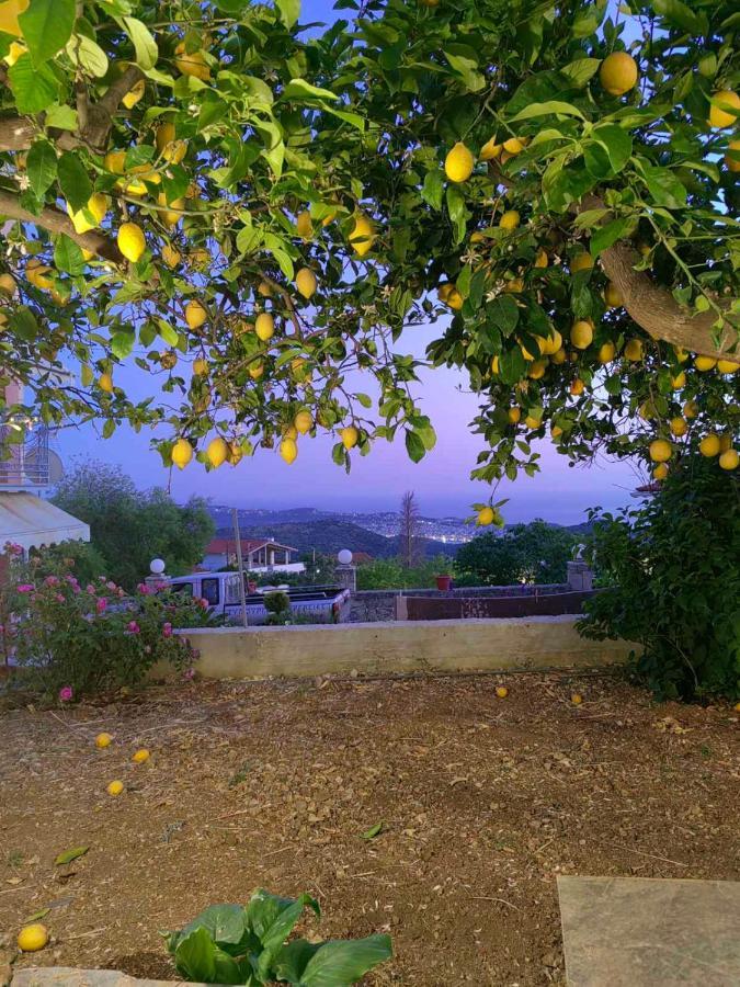 V&V Boutique Villa Argostoli  Bagian luar foto